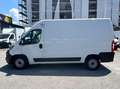 Fiat Ducato MAXI 2.3mjt 140cv L2H2 FRIGO FRC -20 GRADI Bianco - thumbnail 6