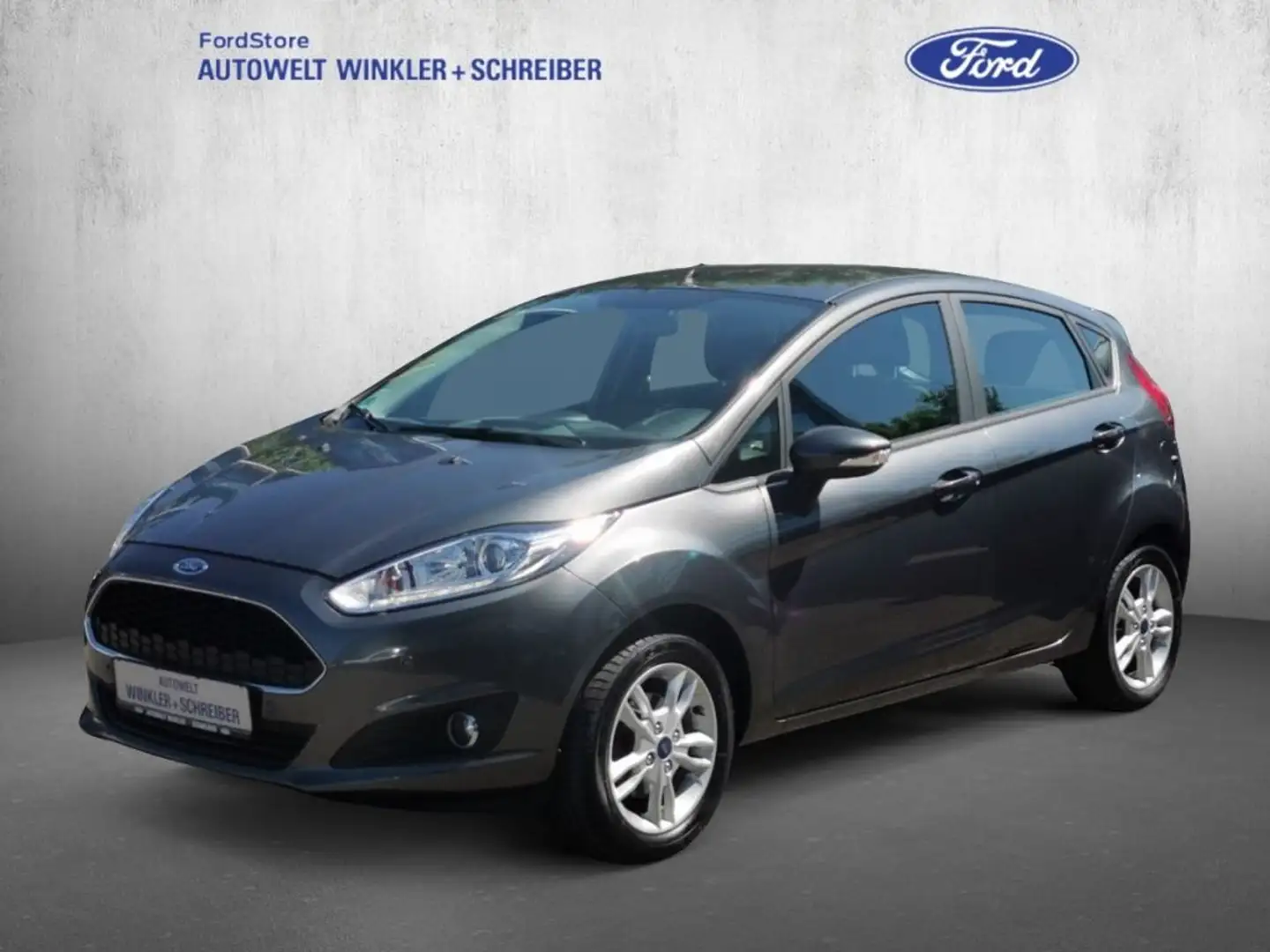 Ford Fiesta 1.0 Celebration Grau - 1
