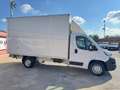 Fiat Ducato DUCATO 2.3 MJ 140CV CASSA IN LEGA Blanc - thumbnail 4