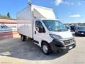 Fiat Ducato DUCATO 2.3 MJ 140CV CASSA IN LEGA Blanc - thumbnail 3