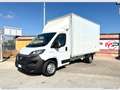 Fiat Ducato DUCATO 2.3 MJ 140CV CASSA IN LEGA Blanc - thumbnail 1