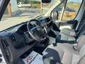 Fiat Ducato DUCATO 2.3 MJ 140CV CASSA IN LEGA Blanc - thumbnail 10
