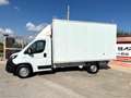 Fiat Ducato DUCATO 2.3 MJ 140CV CASSA IN LEGA Blanc - thumbnail 8