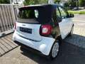 smart forTwo cabrio Autom-Klima-erst 34.000KM Blanc - thumbnail 13