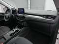 Ford Kuga Titanium X 225PS Plug-in-Hybrid Aut. Weiß - thumbnail 32