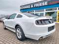 Ford Mustang 3.7 Automatik Xenon Leder el. Sitze Blanc - thumbnail 6