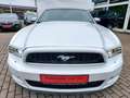 Ford Mustang 3.7 Automatik Xenon Leder el. Sitze Blanc - thumbnail 2