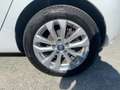 Renault ZOE R110/Z.E. 50 (Miet-Batterie) Experience *LED Weiß - thumbnail 12