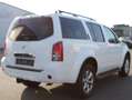 Nissan Pathfinder Pathfinder Diesel 2.5 dCi Aut. LE Weiß - thumbnail 8