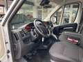 Citroen Jumper  L2S 3.Seitenkipper,4.Jahre Garantie Blanc - thumbnail 11