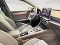 CUPRA Leon 2.0 tdi 150cv dsg Nero - thumbnail 11