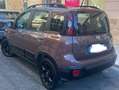 Fiat Panda Panda III 2016 1.2 Trussardi s Brun - thumbnail 13