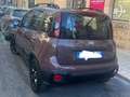 Fiat Panda Panda III 2016 1.2 Trussardi s Brun - thumbnail 12