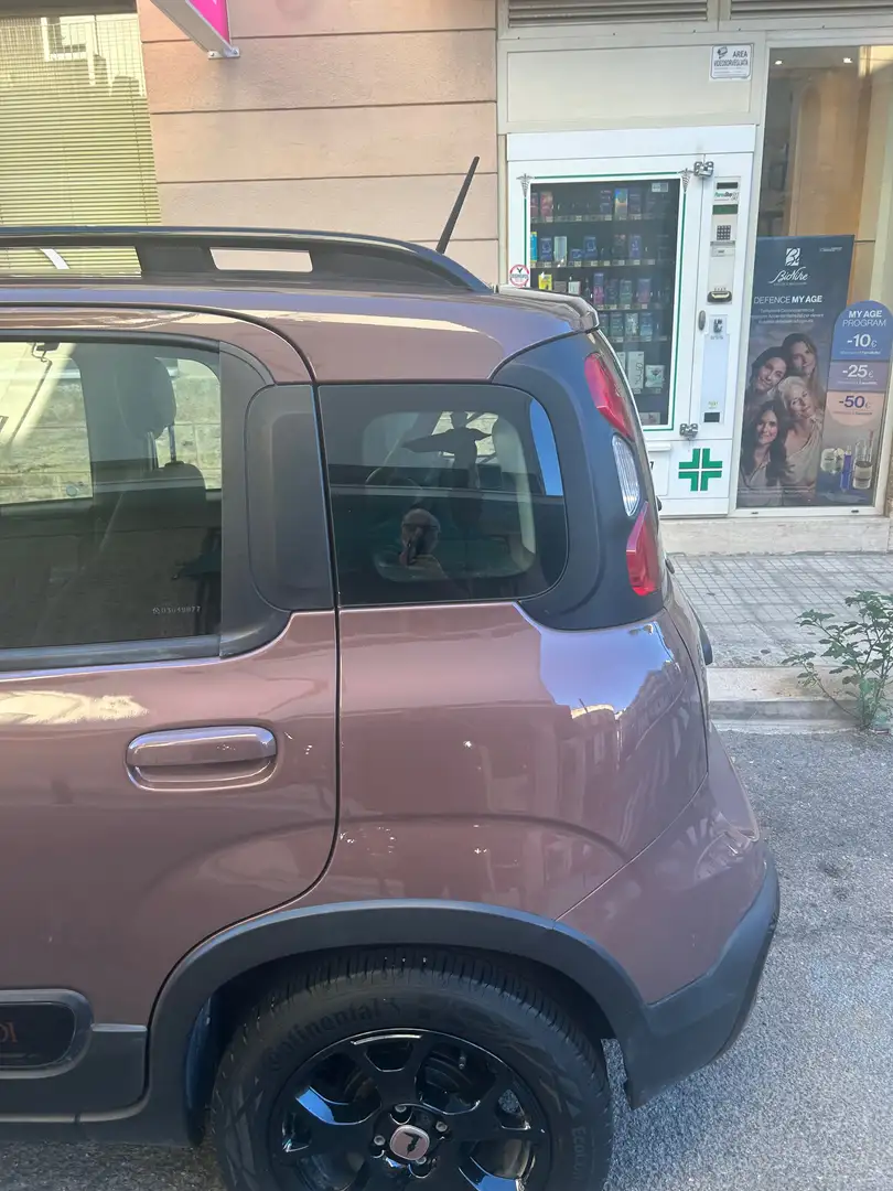Fiat Panda Panda III 2016 1.2 Trussardi s Brun - 1