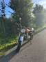 Kawasaki Estrella 250 - thumbnail 1