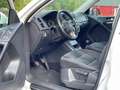 Volkswagen Tiguan Sport & Style BMT*PANORAMA*SHZ*PDC Weiß - thumbnail 8