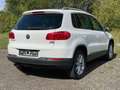 Volkswagen Tiguan Sport & Style BMT*PANORAMA*SHZ*PDC Weiß - thumbnail 5