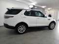 Land Rover Discovery 2.0 SD4 240 CV SE -PELLE - GANCIO TRAINO Weiß - thumbnail 4