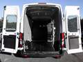 Ford Transit Kasten Trend 350 L3H3 Trend 130PS Allwetter Hecksc Weiß - thumbnail 14