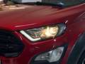 Ford EcoSport *Active*WinterPaket*CarPlay*PDC v+h*RFK* Rot - thumbnail 5