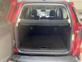 Ford EcoSport *Active*WinterPaket*CarPlay*PDC v+h*RFK* Rot - thumbnail 12