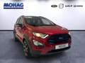 Ford EcoSport *Active*WinterPaket*CarPlay*PDC v+h*RFK* Rot - thumbnail 2
