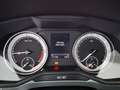 Skoda Superb Combi 2.0 TDI Ambition LED STANDHZG NAVI Bílá - thumbnail 15