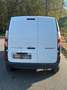 Renault Kangoo Kangoo 1.5 dCi 90CV S&S 4p. Express Maxi Ice Bianco - thumbnail 4