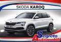 Skoda Karoq Karoq 1.0 TSI 115 CV Selection - thumbnail 1