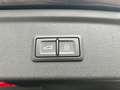 Audi A3 Sportback 40 TDI quattro S line 2.0 R-Cam,SHZ,A... Grey - thumbnail 13