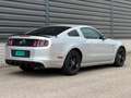 Ford Mustang USA 3.7 V6 AUT Cruise Airco Custom interior!! Gris - thumbnail 3