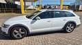 Audi A6 allroad 3.0 TDI S tronic Bianco - thumbnail 1