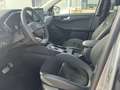 Ford Kuga 2.5 PHEV Active X | Panodak | WinterPack! Techpack Gris - thumbnail 14