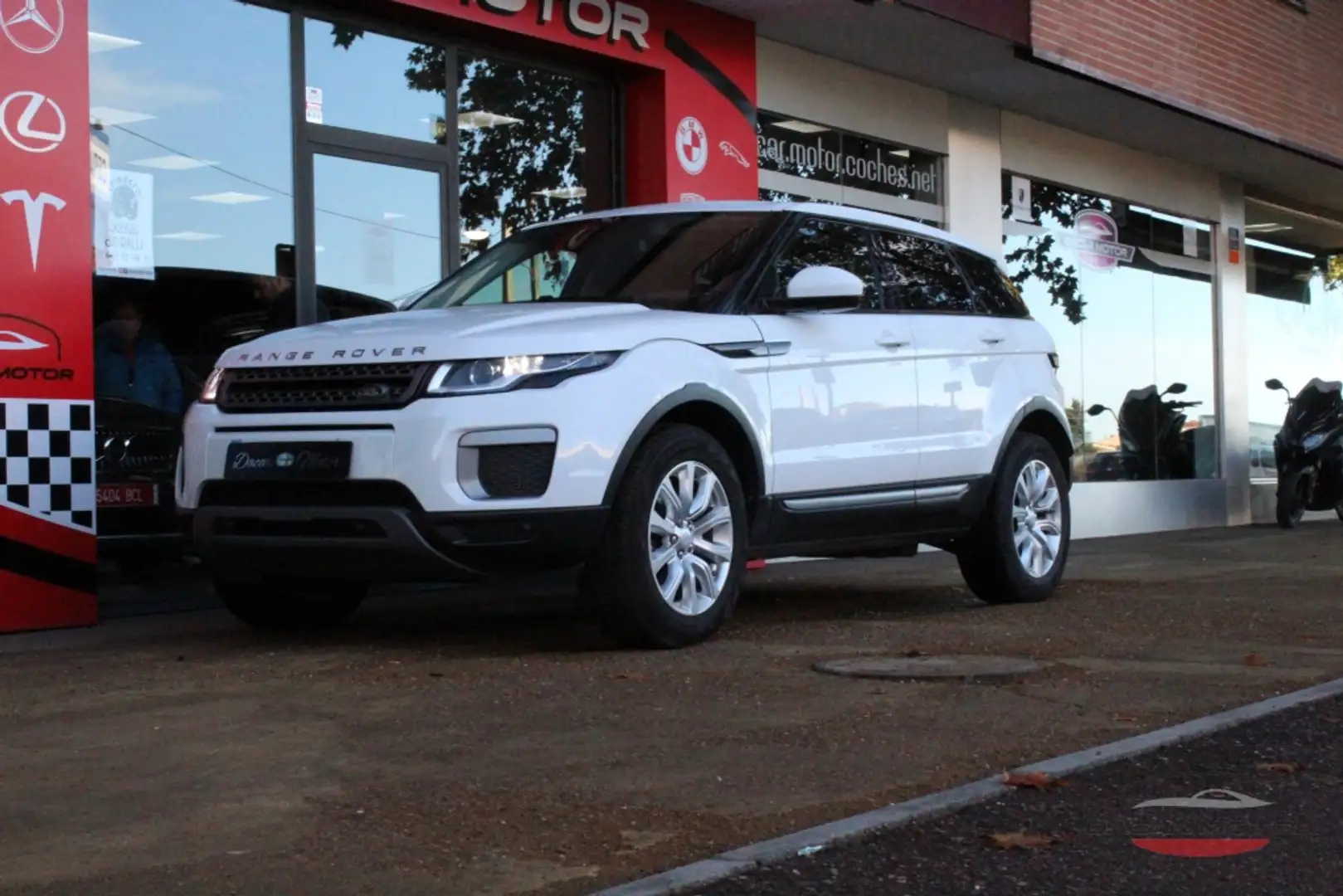 Land Rover Range Rover Evoque 2.0TD4 Pure 4WD Aut. 150 Blanc - 2