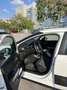 Citroen C3 PureTech 68 5-Gang-Manuell Feel - thumbnail 9