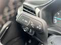 Ford Fiesta 7ª serie 1.0 Ecoboost Hybrid 125 CV 5 porte Titani Beige - thumbnail 29