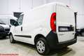 Fiat Doblo Cargo 1.3 mjt 95cv CH1 Lounge S&S Euro6d-temp White - thumbnail 4