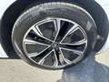Audi A5 TDI 150 kW (204 CV) Advanced Blanco - thumbnail 20