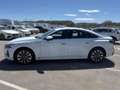 Audi A5 TDI 150 kW (204 CV) Advanced Blanco - thumbnail 7