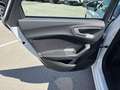 Audi A5 TDI 150 kW (204 CV) Advanced Blanco - thumbnail 17