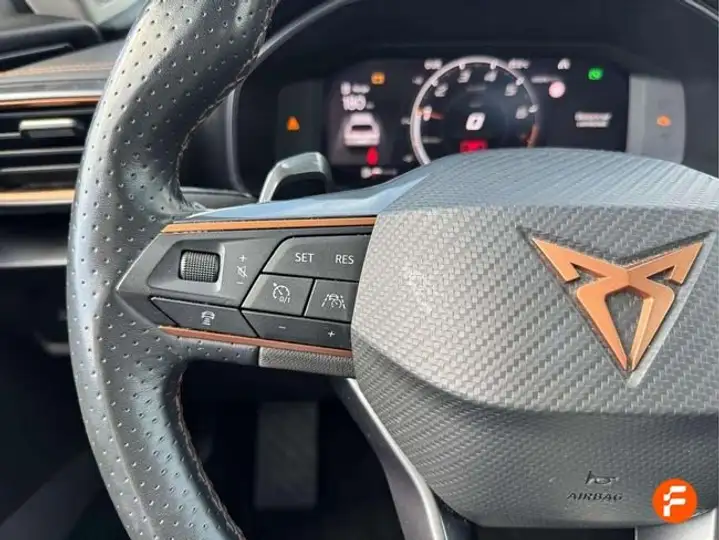 Cupra Formentor 1.5 TSI 2024, foto 14