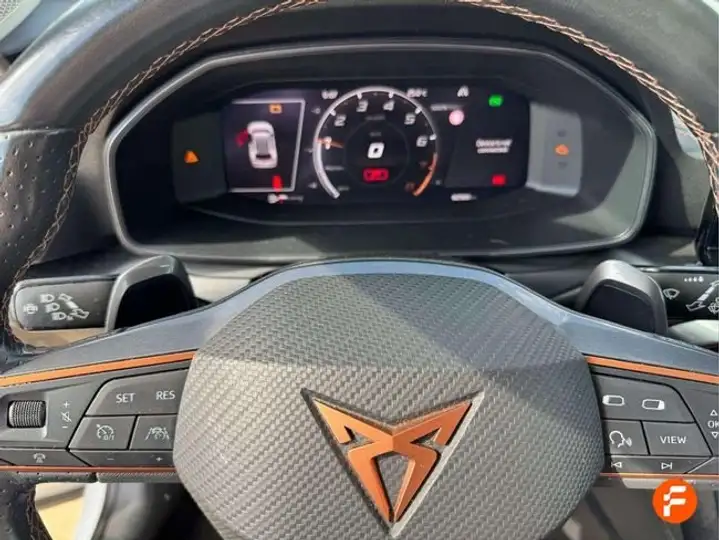Cupra Formentor 1.5 TSI 2024, foto 16