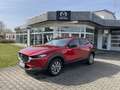 Mazda CX-30 2.0L e-SKYACTIV X 186ps HOMURA - thumbnail 7