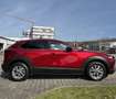 Mazda CX-30 2.0L e-SKYACTIV X 186ps HOMURA - thumbnail 6