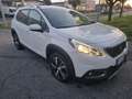 Peugeot 2008 2008 1.2 puretech t Allure s Bianco - thumbnail 2