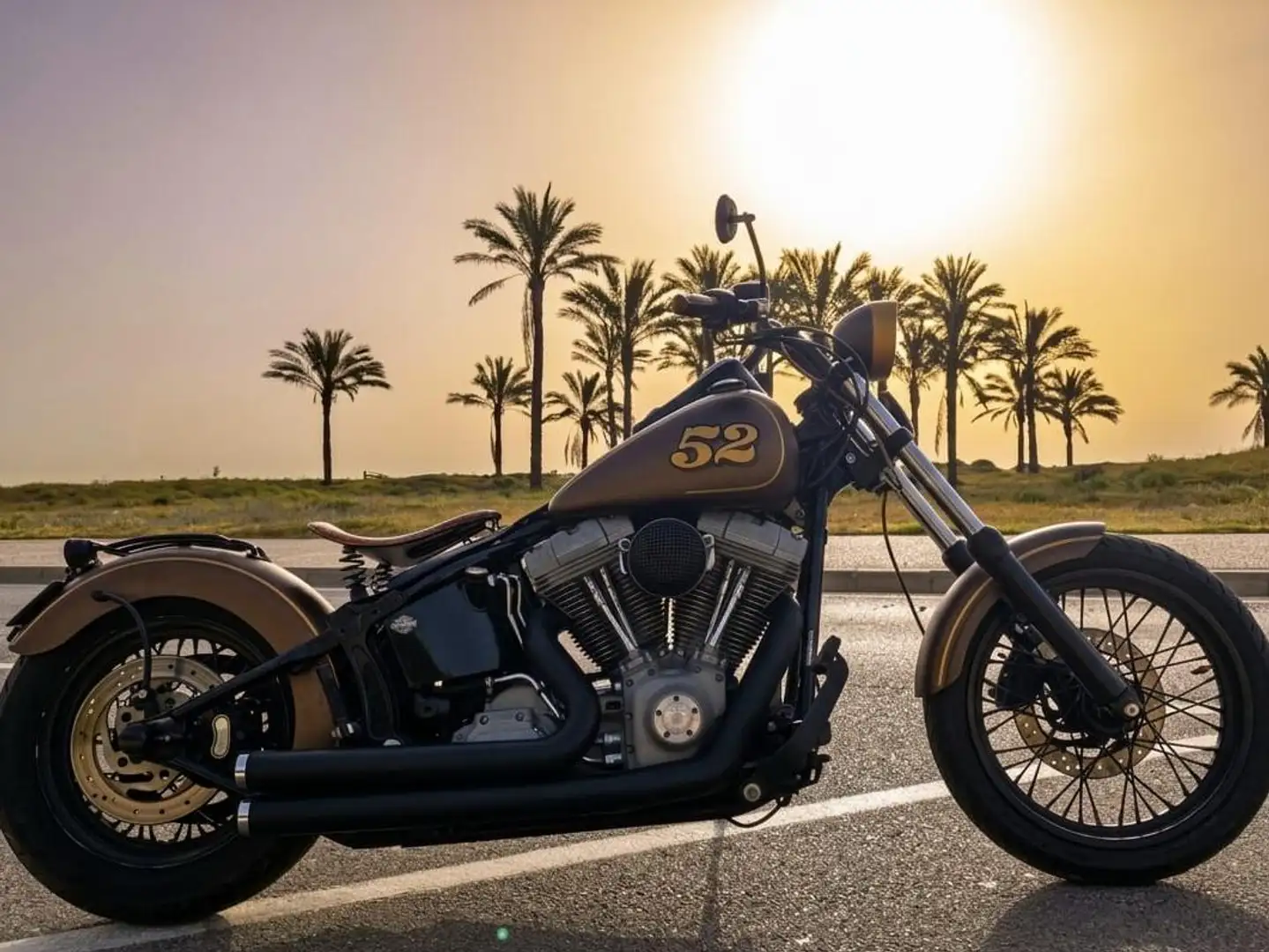 Harley-Davidson Softail Standar Bronce - 1