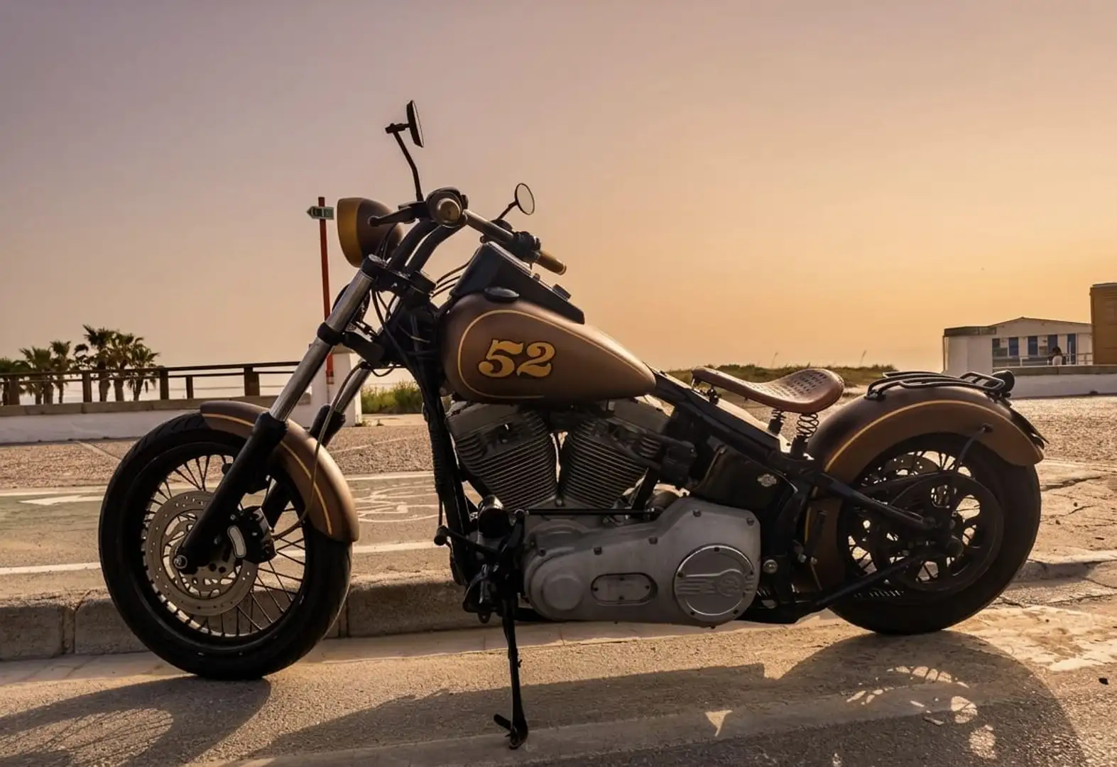 Harley-Davidson Softail Standar Bronce - 2