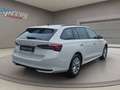 Skoda Octavia Combi TDI DSG - nur €34.499,-* Monatlich € 359,- Weiß - thumbnail 5