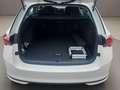 Skoda Octavia Combi TDI DSG - nur €34.499,-* Monatlich € 359,- Weiß - thumbnail 14