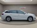 Skoda Octavia Combi TDI DSG - nur €34.499,-* Monatlich € 359,- Weiß - thumbnail 4